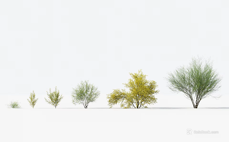 Various Trees With Different Sizes And Foliage Colors Arranged On White Background 3d model