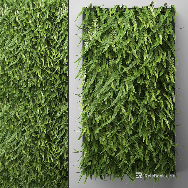 Lush Green Plant Wall Design For Indoor Space With Fresh Foliage And Natural Vibe 3d model 