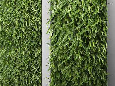 Modern Green Plant Wall Plant Wall model