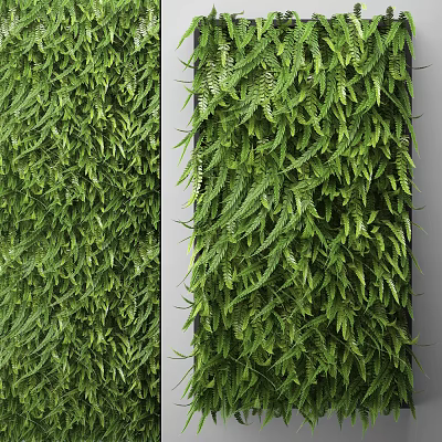 Lush Green Plant Wall Design For Indoor Space With Fresh Foliage And Natural Vibe 3d model