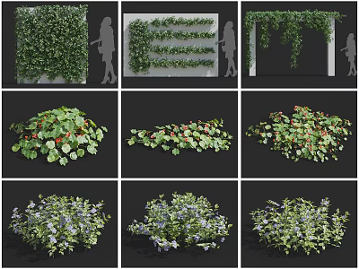 Decorative Vines with Lush Foliage Flowers and Fruits for Wall Covering and Hanging Decor 3d model