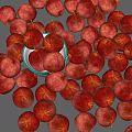 Ripe Fresh Red Apples In Blue Bowl With Scattered On Dark Background