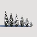 Snow Covered Shrubs Arranged in a Row with Varying Heights Against White Background