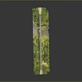 Scenic Bridge with Stone Piers Surrounded by Lush Green Trees and Flowing River