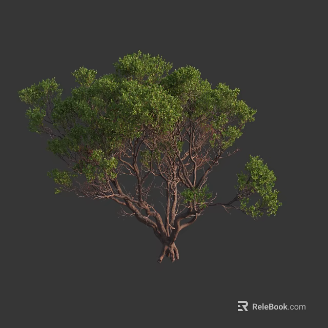 Lush Green Arbor With Dense Foliage Strong Trunk And Natural Branches 3d model 