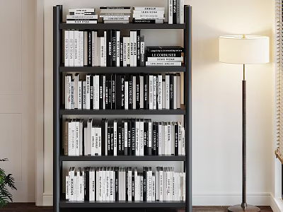 Modern Interior Black Frame Bookcase With Multi Tiered Shelves And Black White Books 3d model