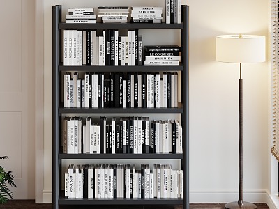 Modern Bookshelf model