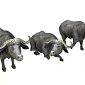 Realistic Three Piece Buffalo Figurine Ornament Decoration Set for Home Decor