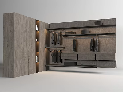 Modern Wooden Wardrobe Interior With Hanging Rods Drawers Shelves And Ambient Lighting 3d model