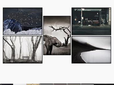 Set of Decorative Photo Frames with Nature Landscapes Animal and City Scenes 3d model