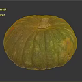 Vibrant Striped Pumpkin With Green Orange Red Hues And Brown Stem