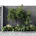 Modern Wooden Entrance Door With Gray Wall Green Plants And Small Tree Outside