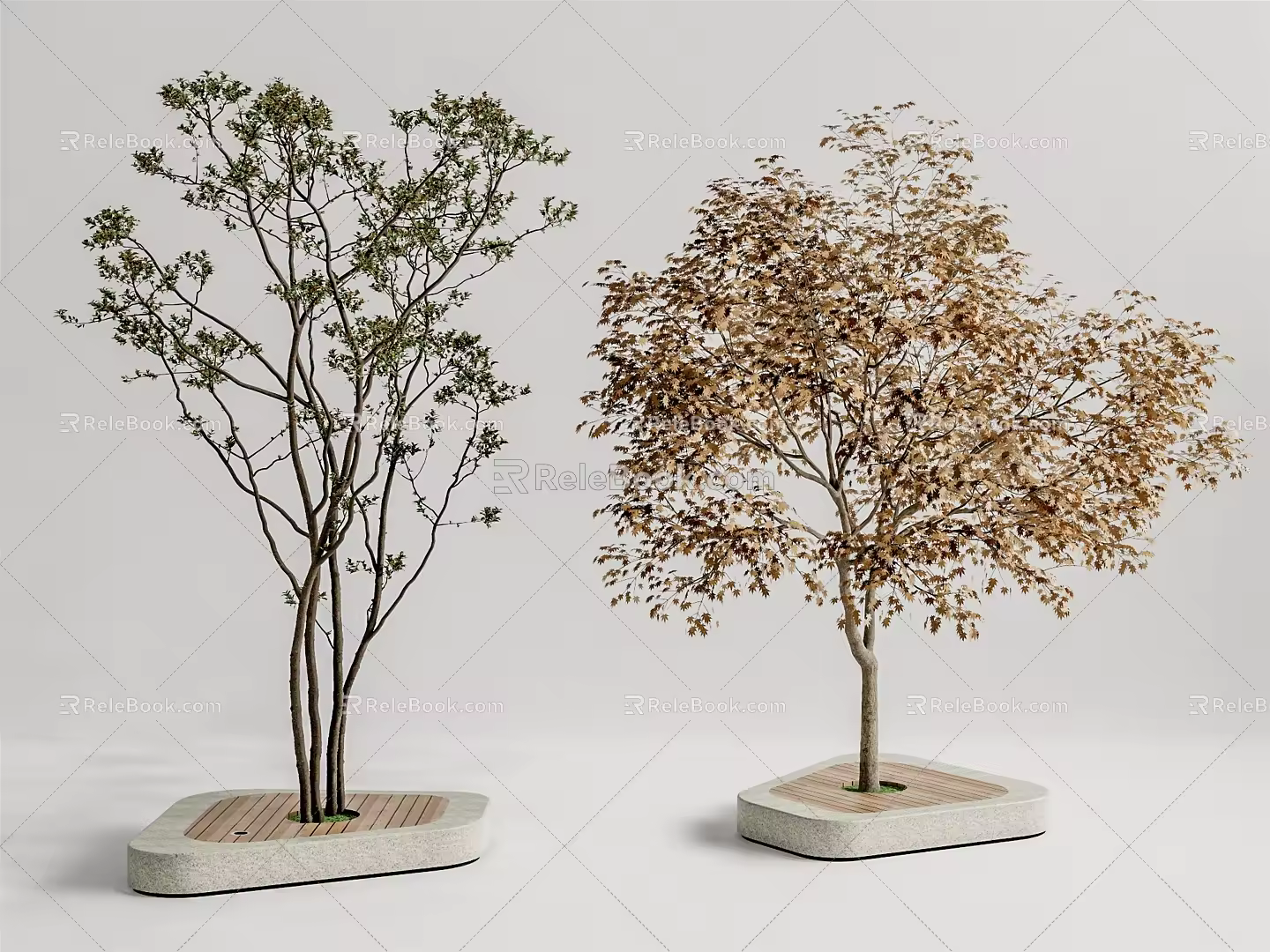 Modern Tree Landscape Tree 3d model
