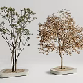 Modern Tree Landscape Tree 3d model