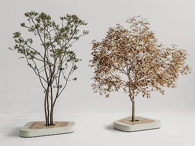 Two Trees With Green And Golden Leaves In Hexagonal Concrete Planters 3d model