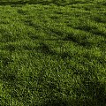 modern lawn 3d model