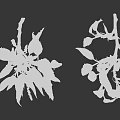 High Quality Botanical Photography Equipment For Capturing Green Leaves And Yellow Inflorescences