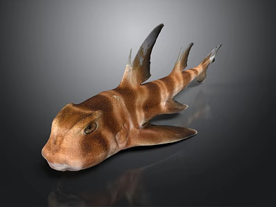 3D Rendered Striped Shark With Spiked Fins As Aquatic Animal Model 3d model