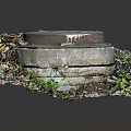 Urban Architecture Manhole Cover Surrounded by Green Plants and Fallen Leaves