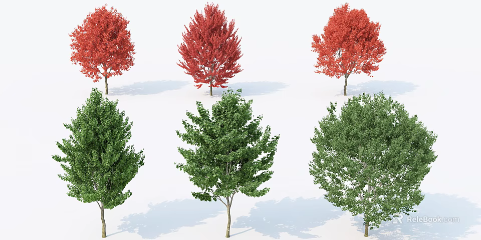Arbor Trees With Red And Green Foliage Arranged In Two Rows 3d model