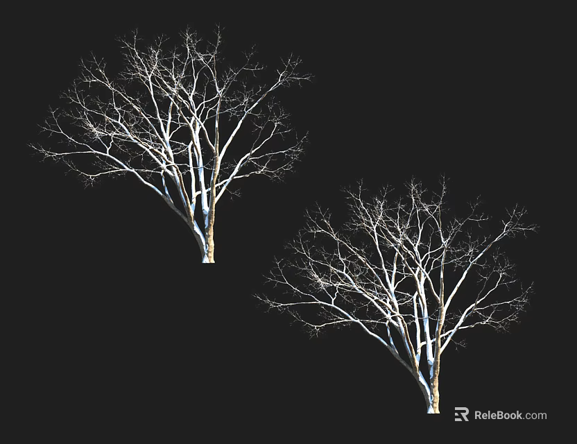 Leafless Trees With White Trunks Silhouette Against Black Background Design 3d model