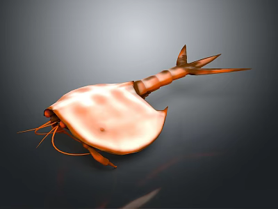 Detailed Horseshoe Crab Body Structure With Carapace Telson Legs And Antennae 3d model