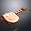 Detailed Horseshoe Crab Body Structure With Carapace Telson Legs And Antennae