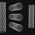 High Quality Medical Devices Mesh Stents Various Shapes For Implantable Use