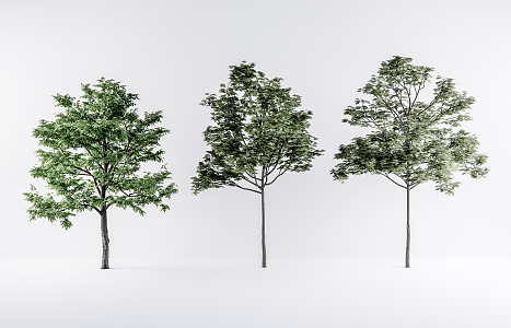 Modern Tree Landscape Tree Combination 3d model