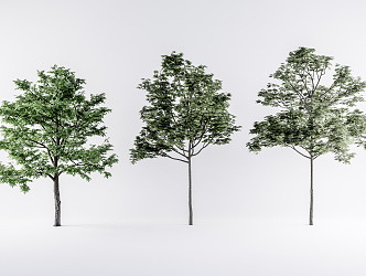 Modern Tree Landscape Tree Combination 3d model