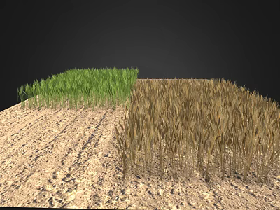 Natural Garden Landscape With Lush Green Grass Brown Wheat Field And Central Dirt Path 3d model