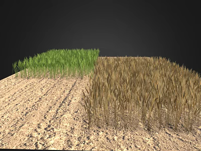 Natural Garden Landscape With Lush Green Grass Brown Wheat Field And Central Dirt Path 3d model