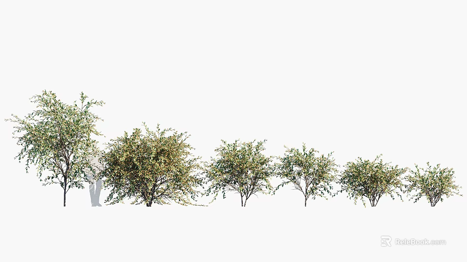 Lush Foliage Trees In Various Sizes Arranged For Natural Landscape Design 3d model 