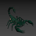 Realistic Green Scorpion 3D Model With Curved Tail And Sharp Claws