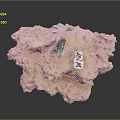 Natural Marine Sponge Animal With Green And White Tags On Porous Surface