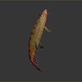 Catfish Carp Sturgeon Bass Freshwater Fish Various Carp Grass Carp Crucian Carp 3d model