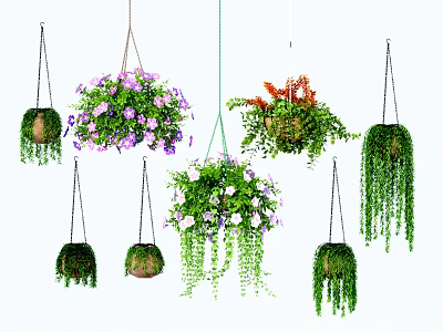 Decorative Hanging Basket Plants Featuring Flowering And Trailing Greenery For Indoor Outdoor Decor 3d model