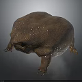 Plump Brown Toad With Round Body And Red Eyes On Dark Background With Reflection 3d model