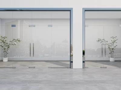 Modern Glass Double Doors With White Pillars Concrete Floor And Green Plants 3d model
