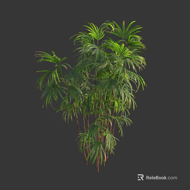 Lush Green Bamboo Plant With Vibrant Leaves And Slender Stems 3d model 