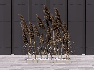 Modern reed potted plant model