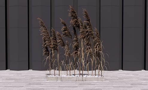 Modern reed potted plant 3d model