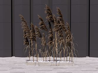 Modern reed potted plant 3d model