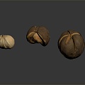 Modern nut fig fruit 3d model