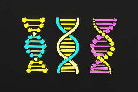 Chemical Formula DNA Cell 2 3d model