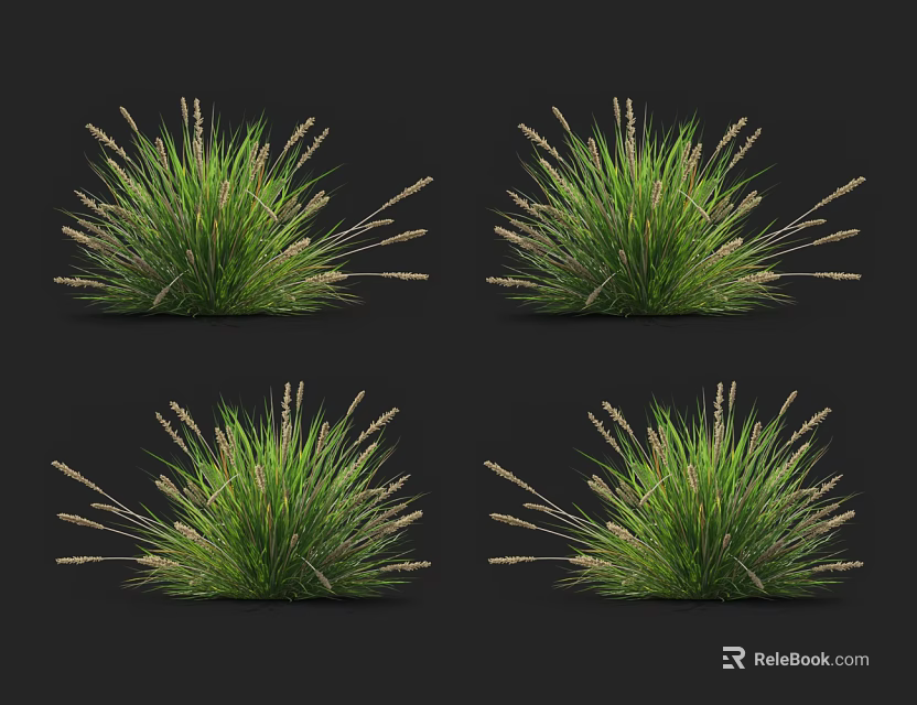 Four Fresh Green Grass Clumps With Lush Foliage And Natural Texture 3d model 