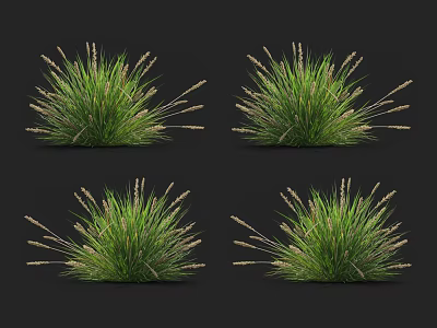 Four Fresh Green Grass Clumps With Lush Foliage And Natural Texture 3d model