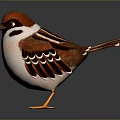 Small Bird In Standing Pose With Red Head Brown And White Feathers And Orange Claws