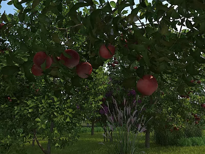 Lush Apple Trees With Red Fruits Green Leaves And Grassy Field With Flowers 3d model