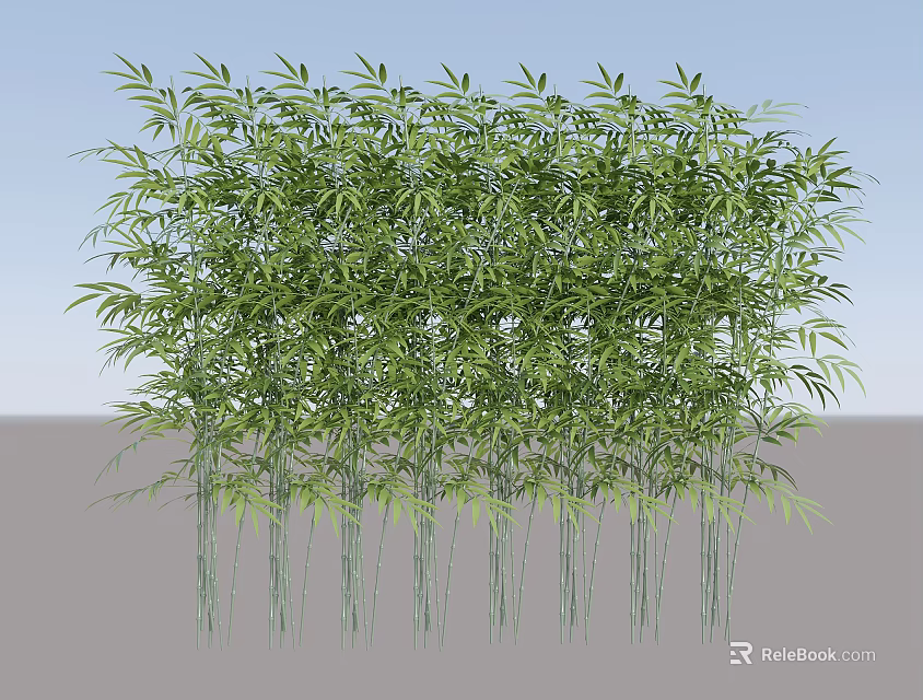 Lush Green Bamboo Plants With Dense Foliage And Tall Stalks In Natural Setting 3d model 